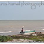 DSC_2995 DSC_2995
