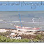 DSC_2998 DSC_2998