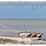 DSC_2999 DSC_2999