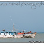 DSC_3024 DSC_3024