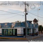 DSC_3117 DSC_3117