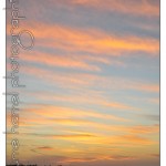 DSC_3154 DSC_3154