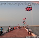 DSC_3159 DSC_3159
