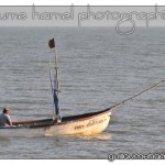 DSC_3190 DSC_3190