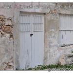 DSC_3253 DSC_3253