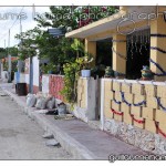 DSC_3295 DSC_3295