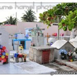 DSC_3329 DSC_3329