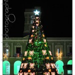 DSC_3337 DSC_3337