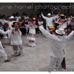 DSC_3353 DSC_3353