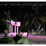 DSC_3391 DSC_3391