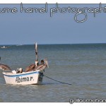 DSC_3443 DSC_3443