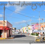 DSC_3460 DSC_3460