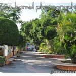 DSC_3475 DSC_3475