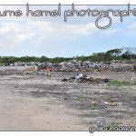 DSC_3515 DSC_3515
