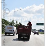 DSC_3553 DSC_3553