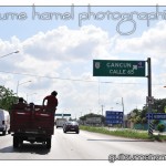 DSC_3554 DSC_3554