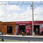 DSC_3555 DSC_3555