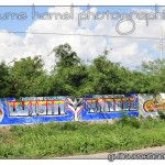 DSC_3556 DSC_3556