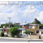 DSC_3557 DSC_3557