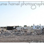 DSC_3880 DSC_3880