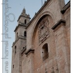 DSC_3945 DSC_3945