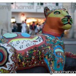 DSC_3950 DSC_3950