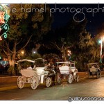 DSC_3998 DSC_3998