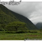 DSC_9455 DSC_9455